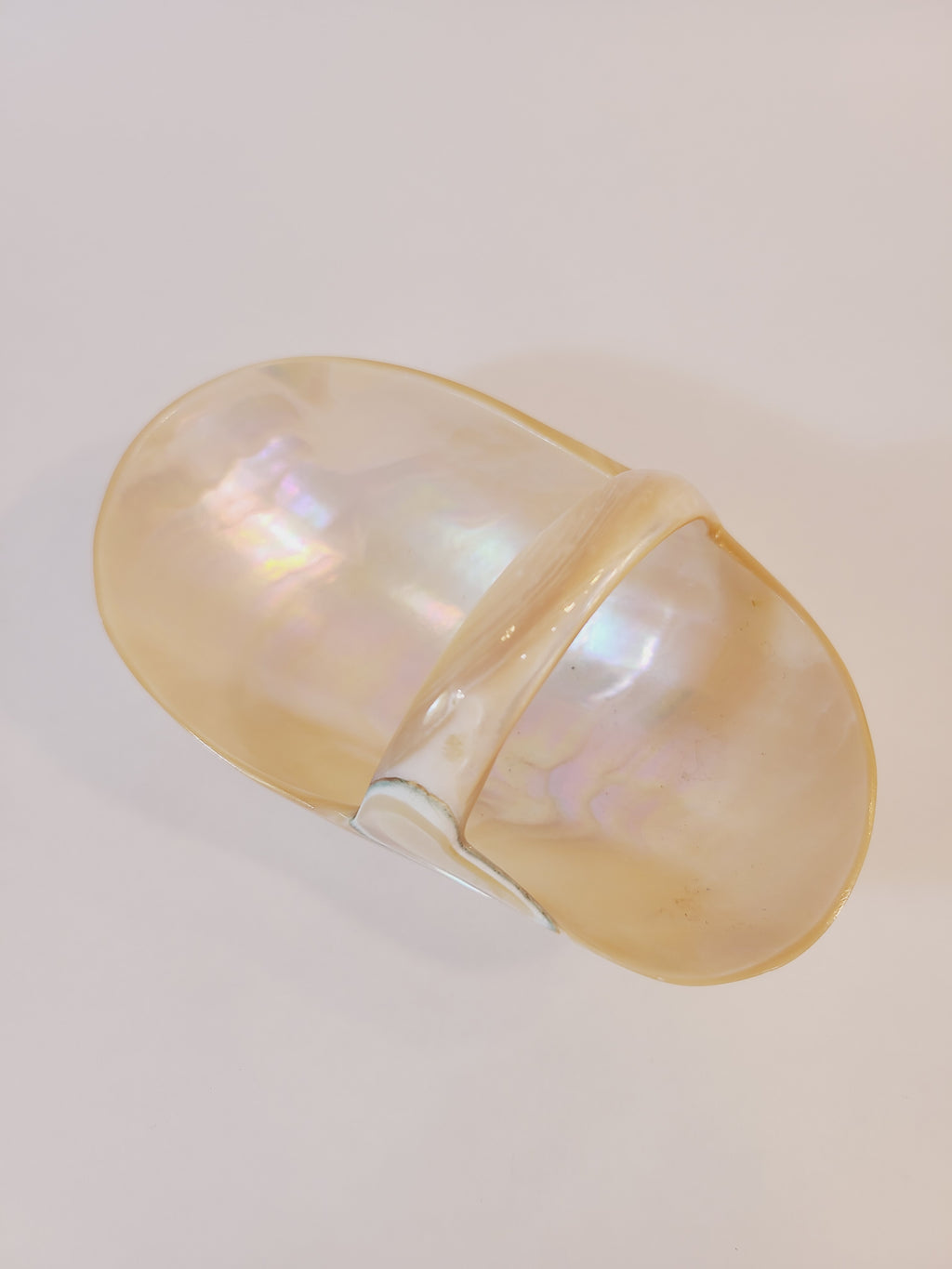 Basket carved from a shell showing mother of pearl glossy finish photographed from above.