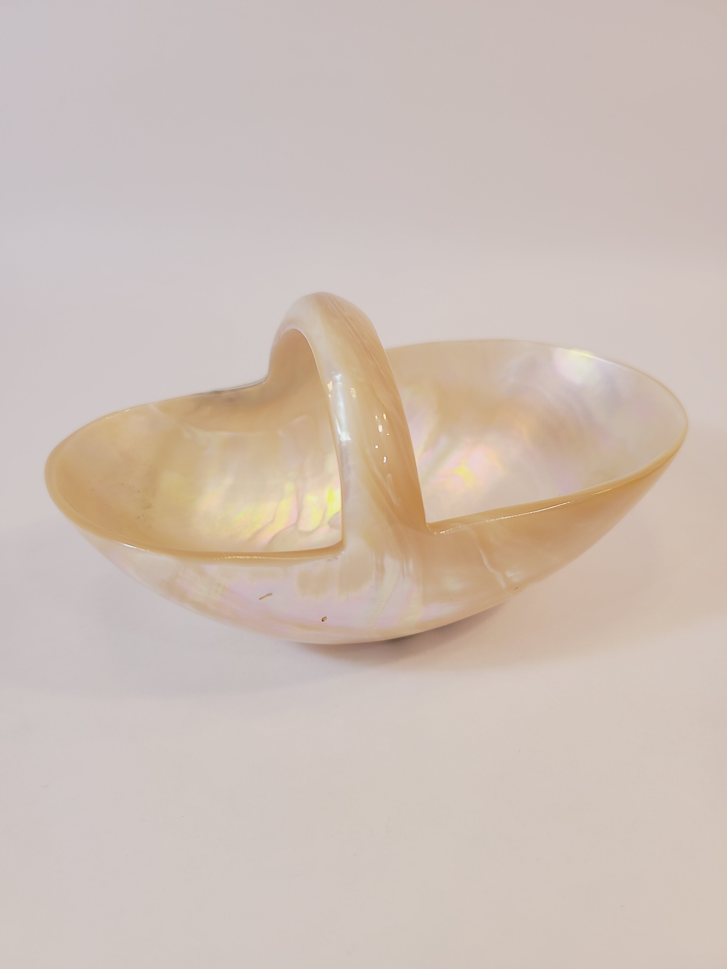 Basket carved from a shell showing mother of pearl glossy finish photographed from the side.