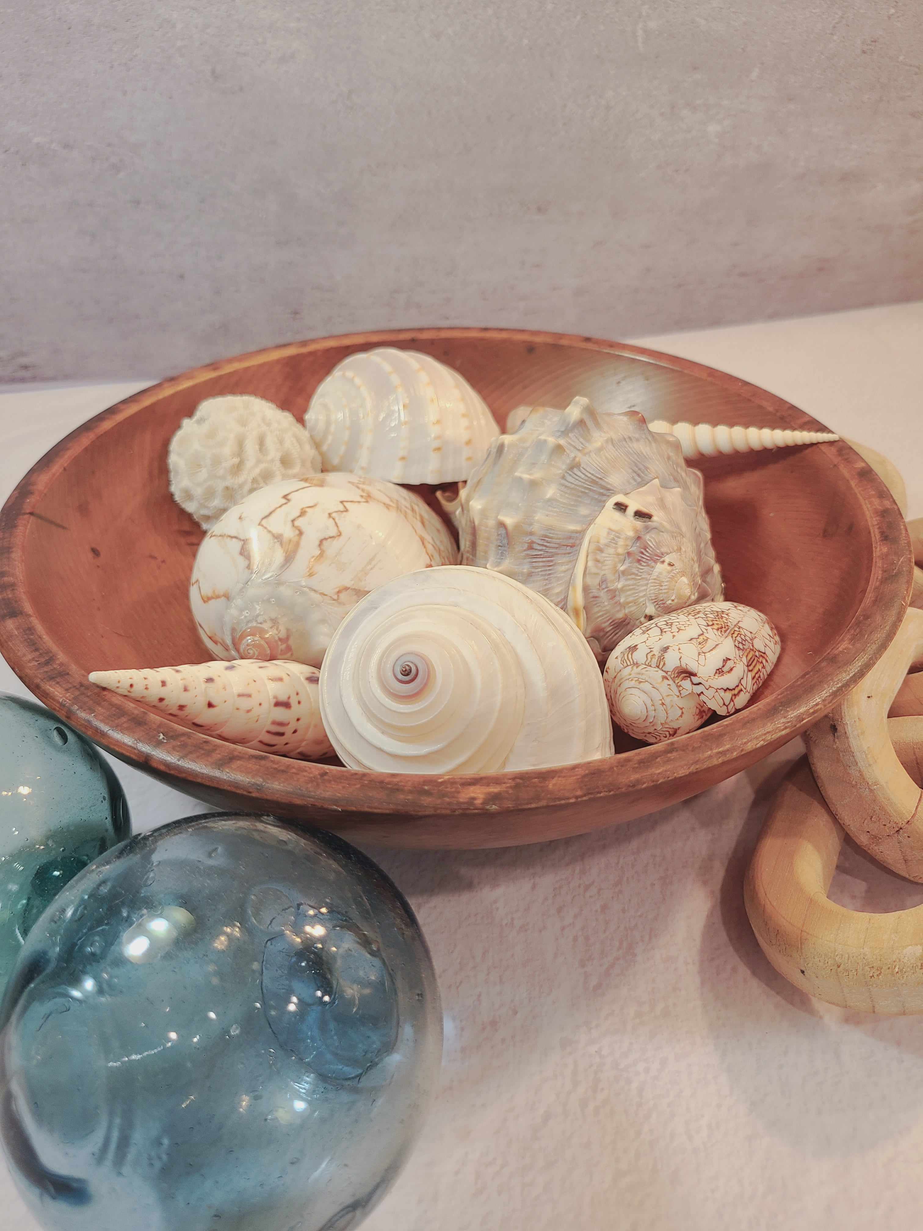 A collection of natural seashells inside a vintage round wooden bowl.