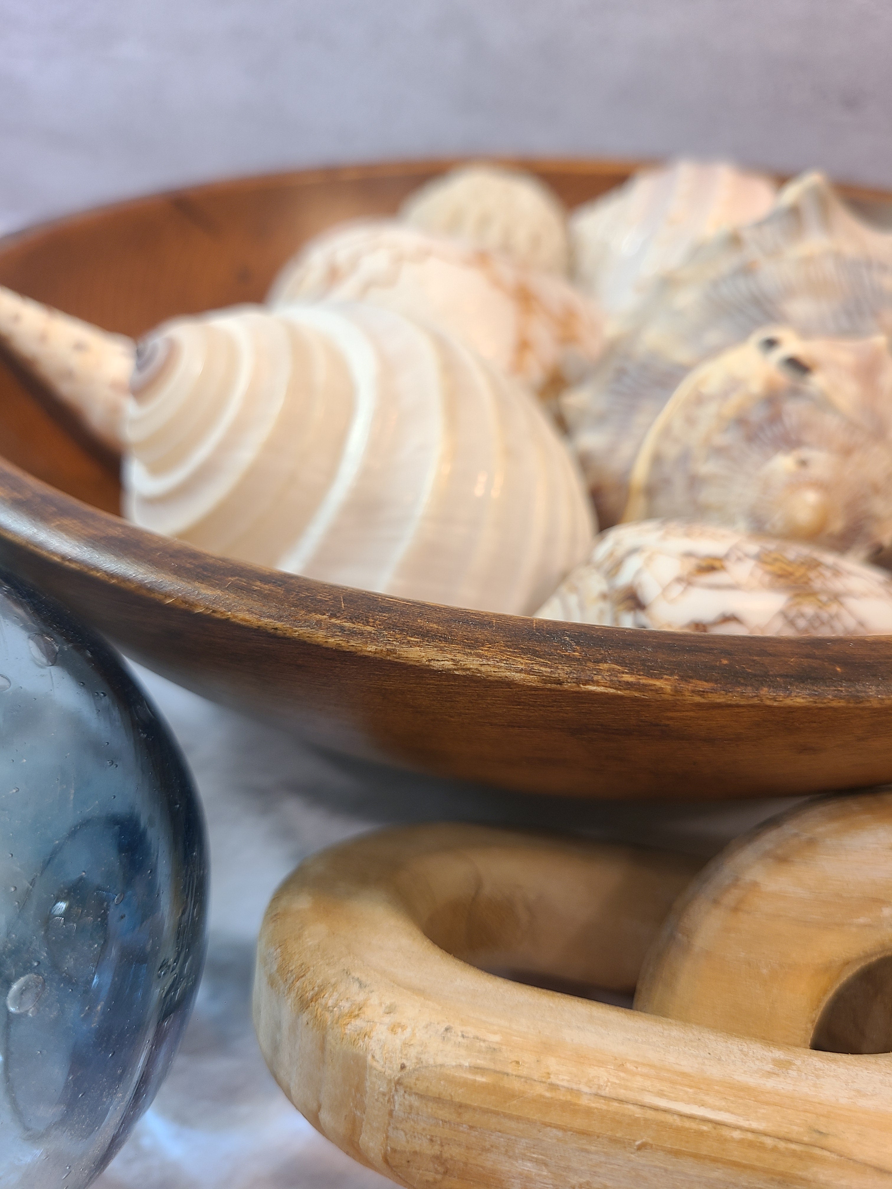 A close-up of a vintage wooden bowl filled with assorted seashells.