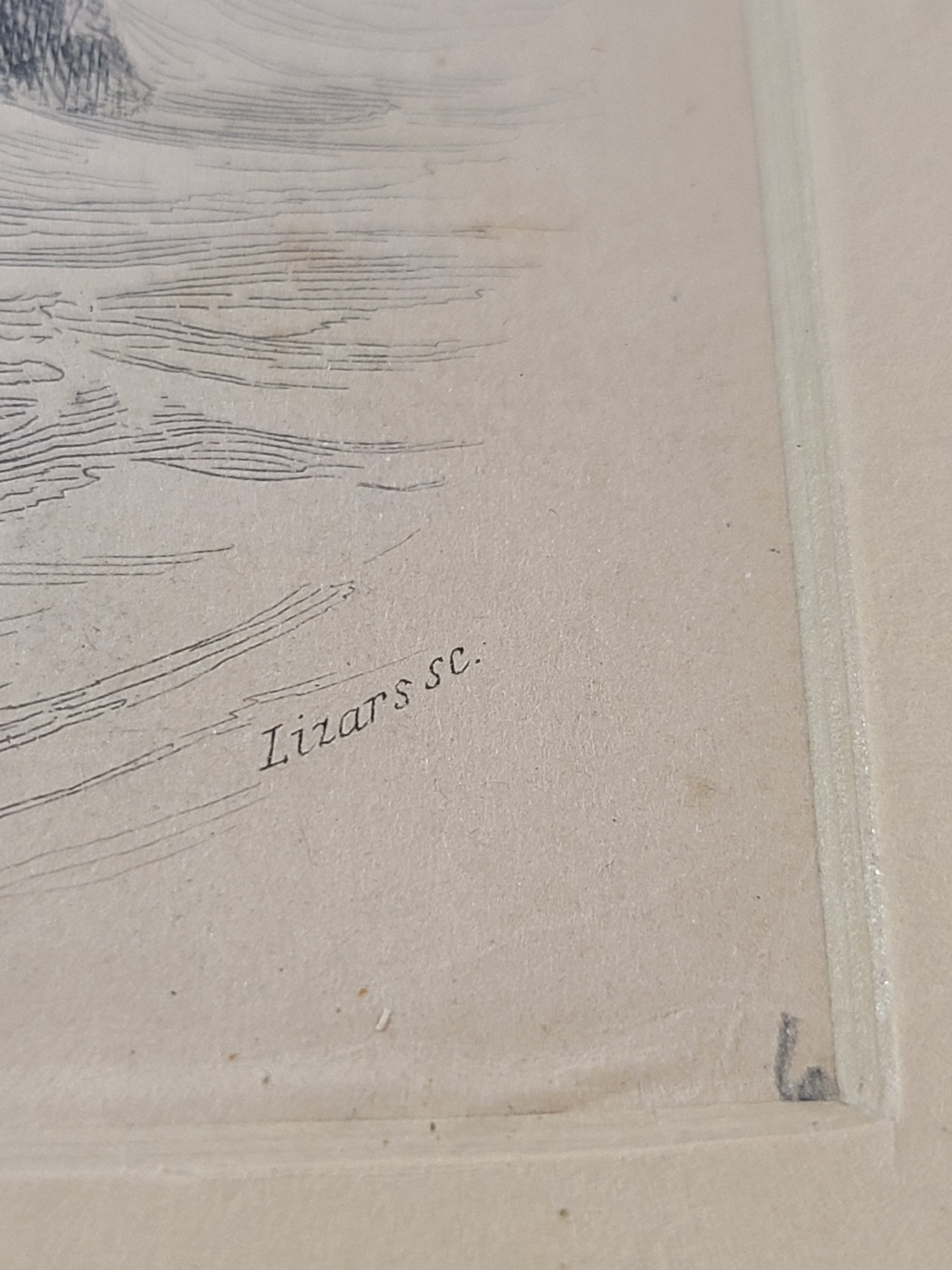 Ultra close up of Antique Hand Colored Fur Seal Etching from Scotland 1830s.
