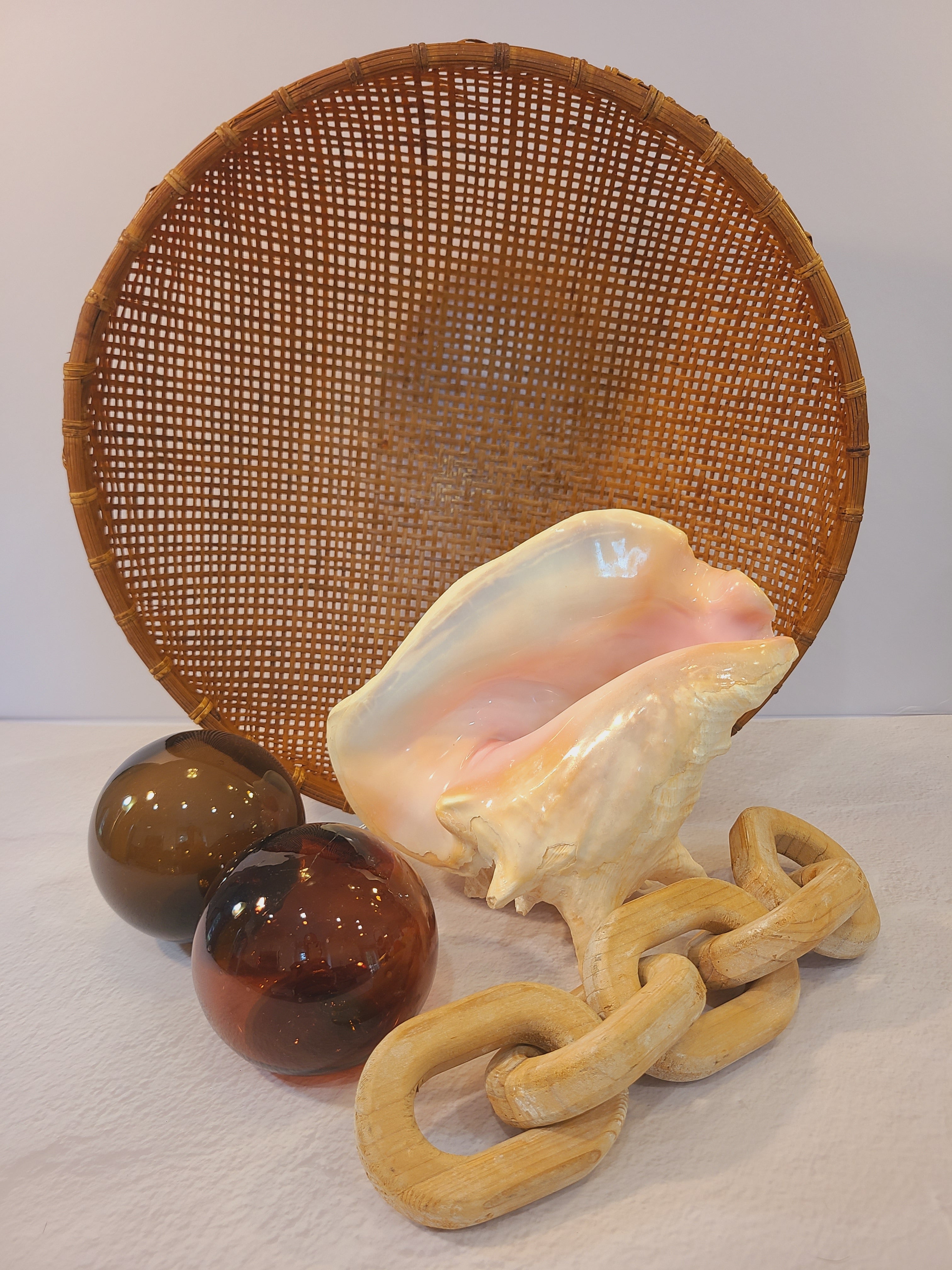 Queen conch shell displayed with basket, fishing floats, and wooden links.