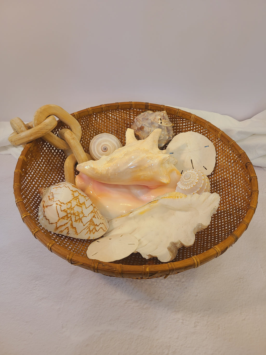Queen conch shell displayed in basket with other shells.