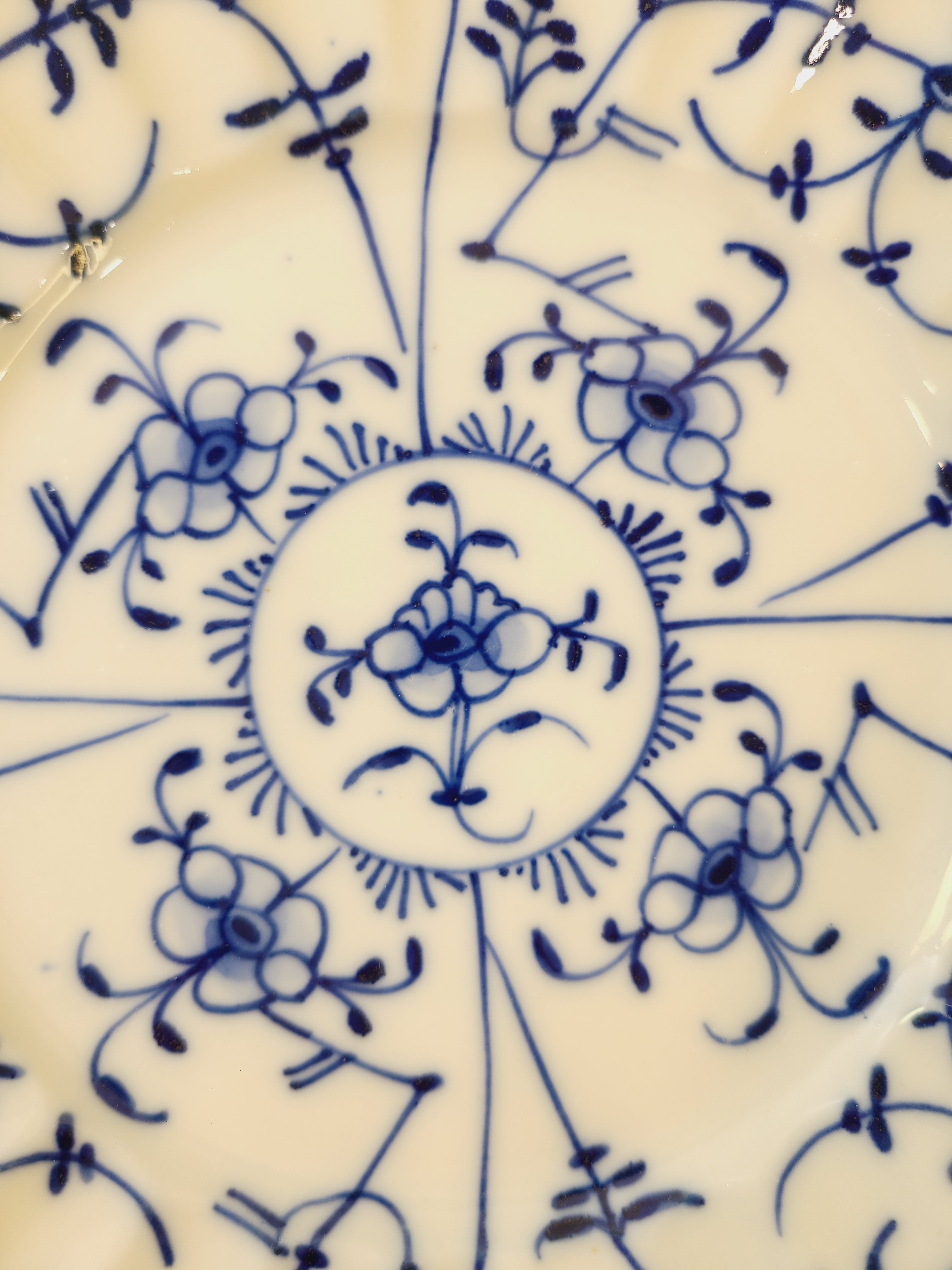 Close up of pattern on Antique Royal Tettau Blue and White Porcelain Plate.