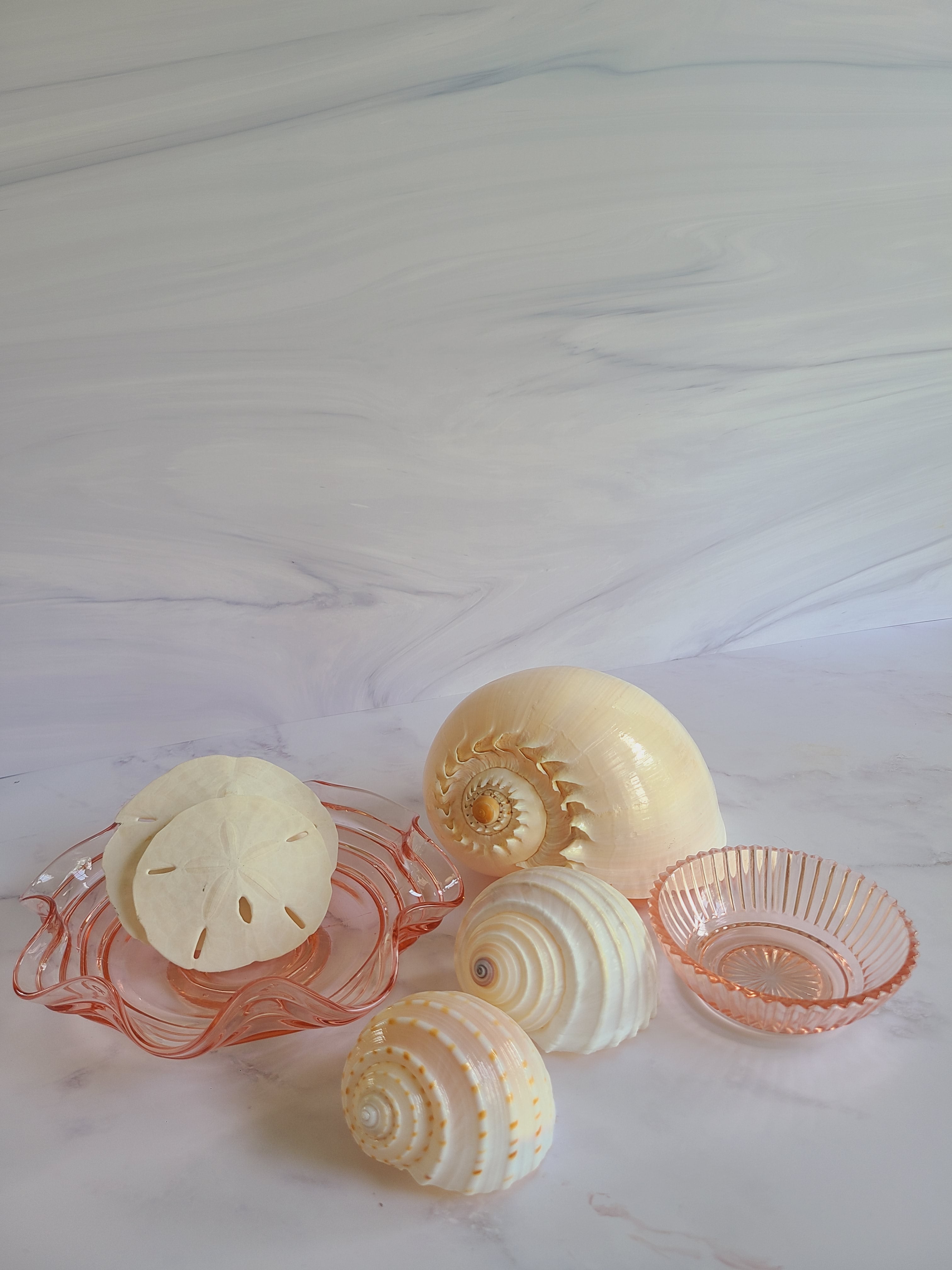Vintage Blush colored Depression Glass Bowl with Ruffled Edge displayed with seashells.