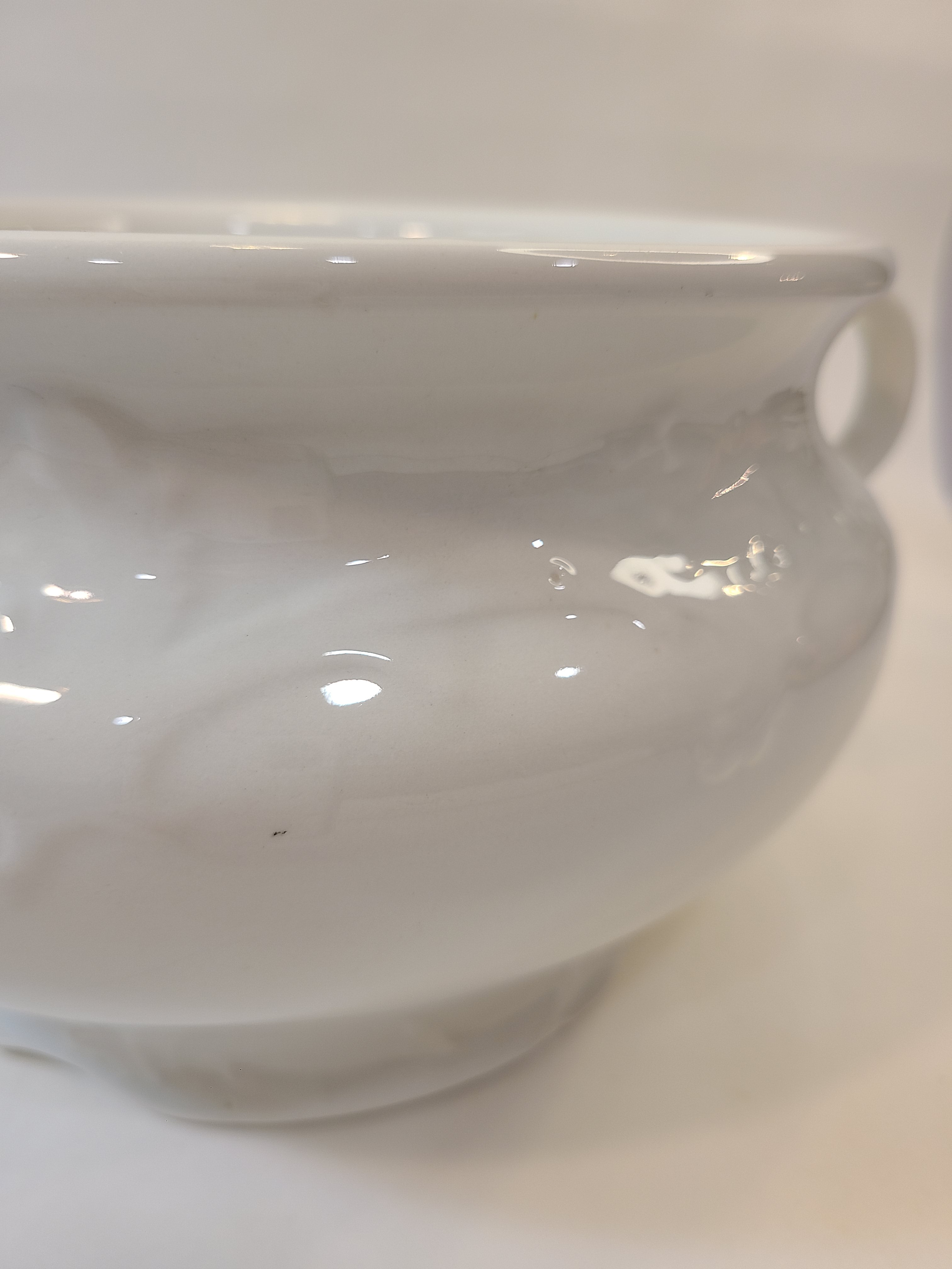 Close up of pattern on white Antique Mellor, Taylor & Co. English Ironstone Chamber Pot