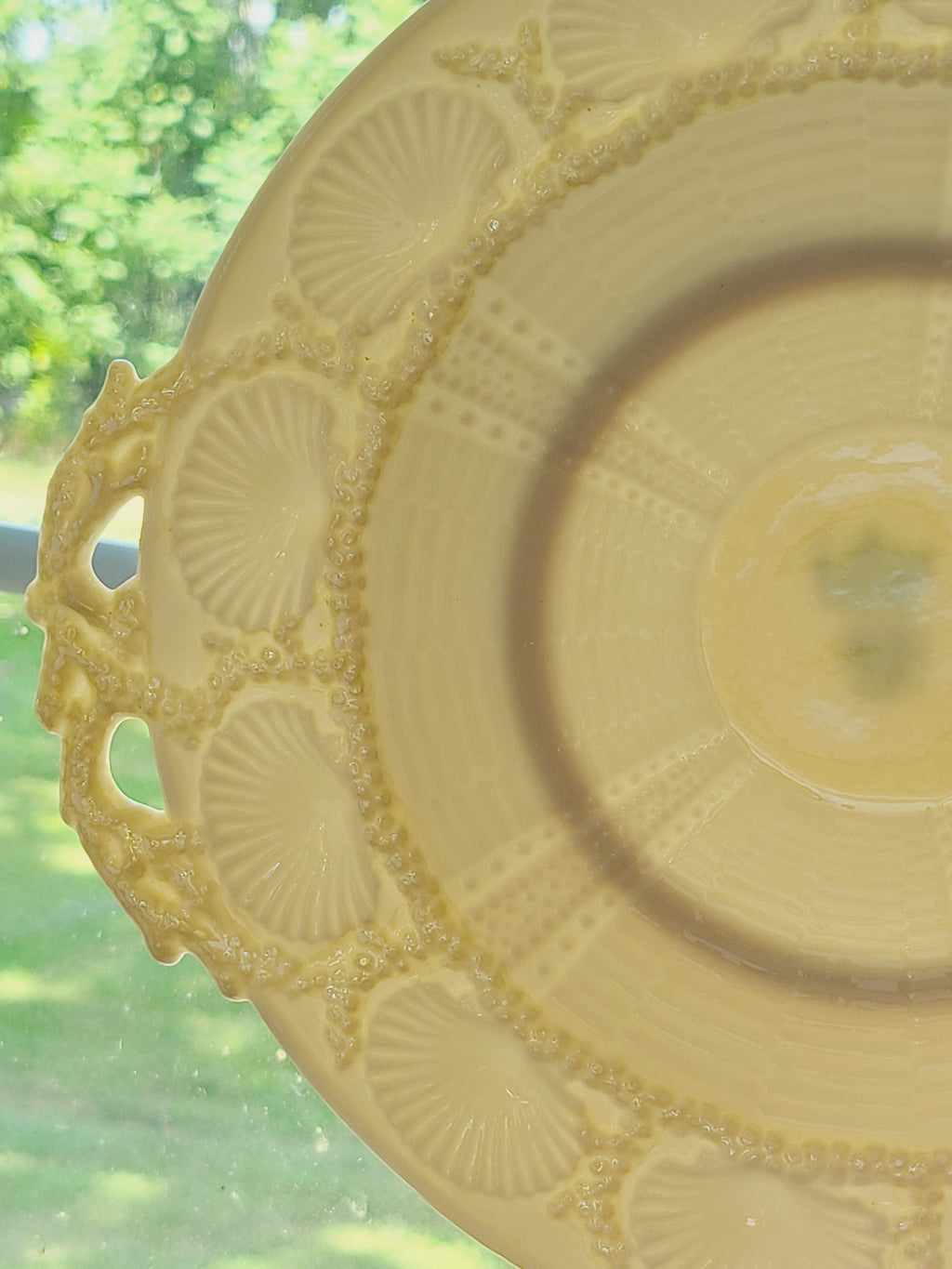 Vintage Belleek Porcelain Plate with Shell Motif photographed to show translucent properties.