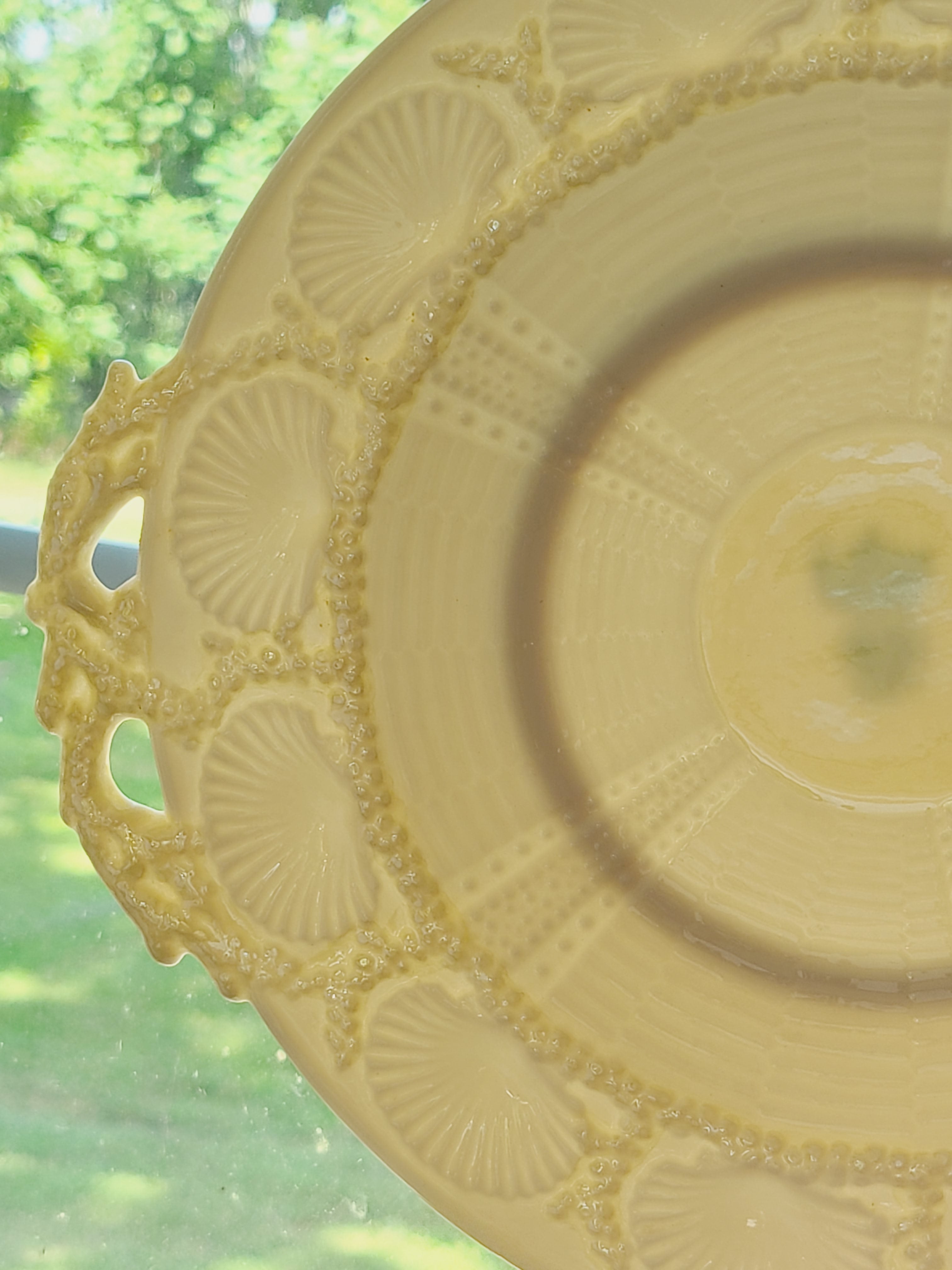 Vintage Belleek Porcelain Plate with Shell Motif photographed to show translucent properties.