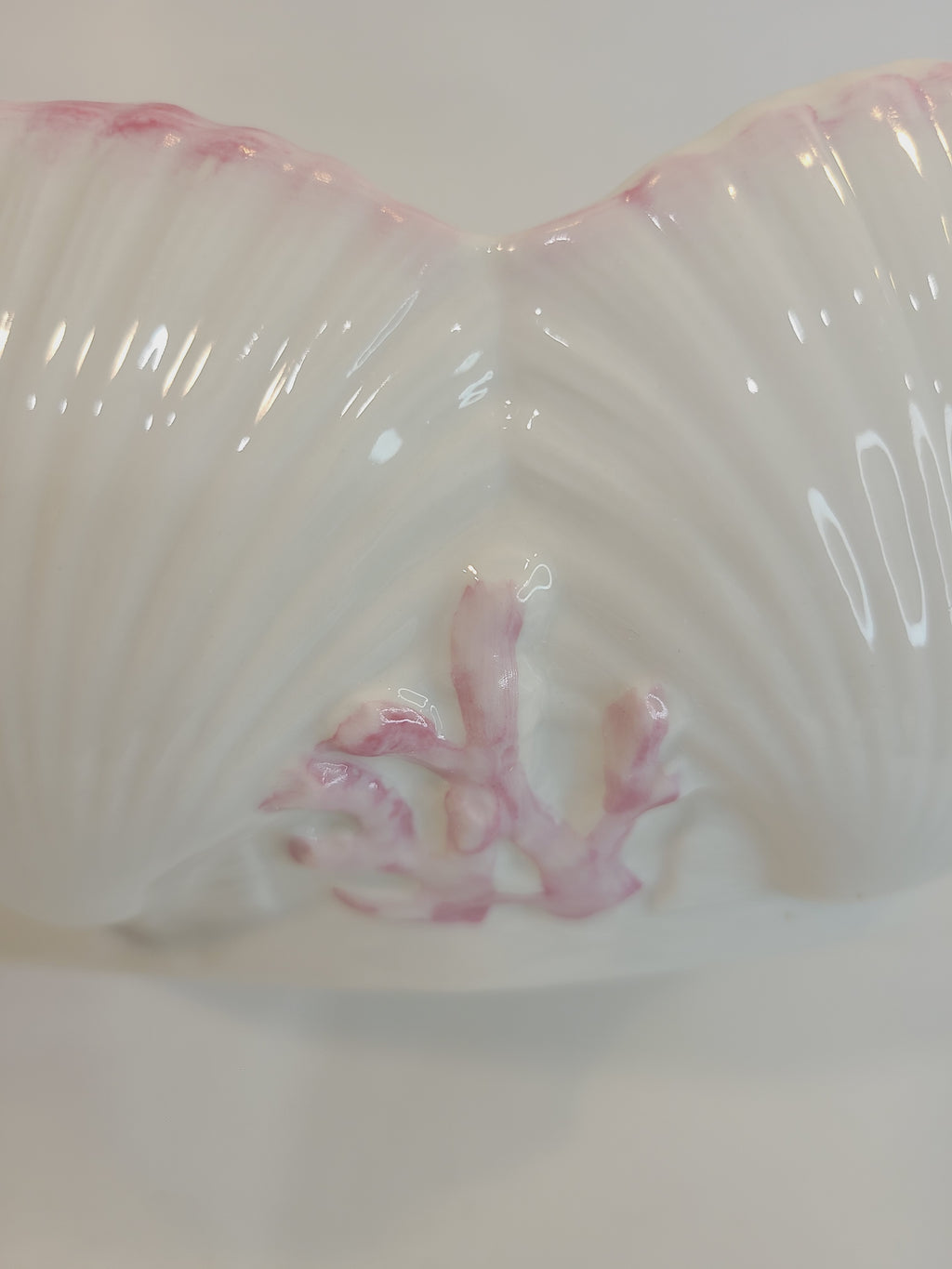 Close up of coral on Belleek Ireland Neptune Pattern Earthenware Bowl with shells and coral 1970s