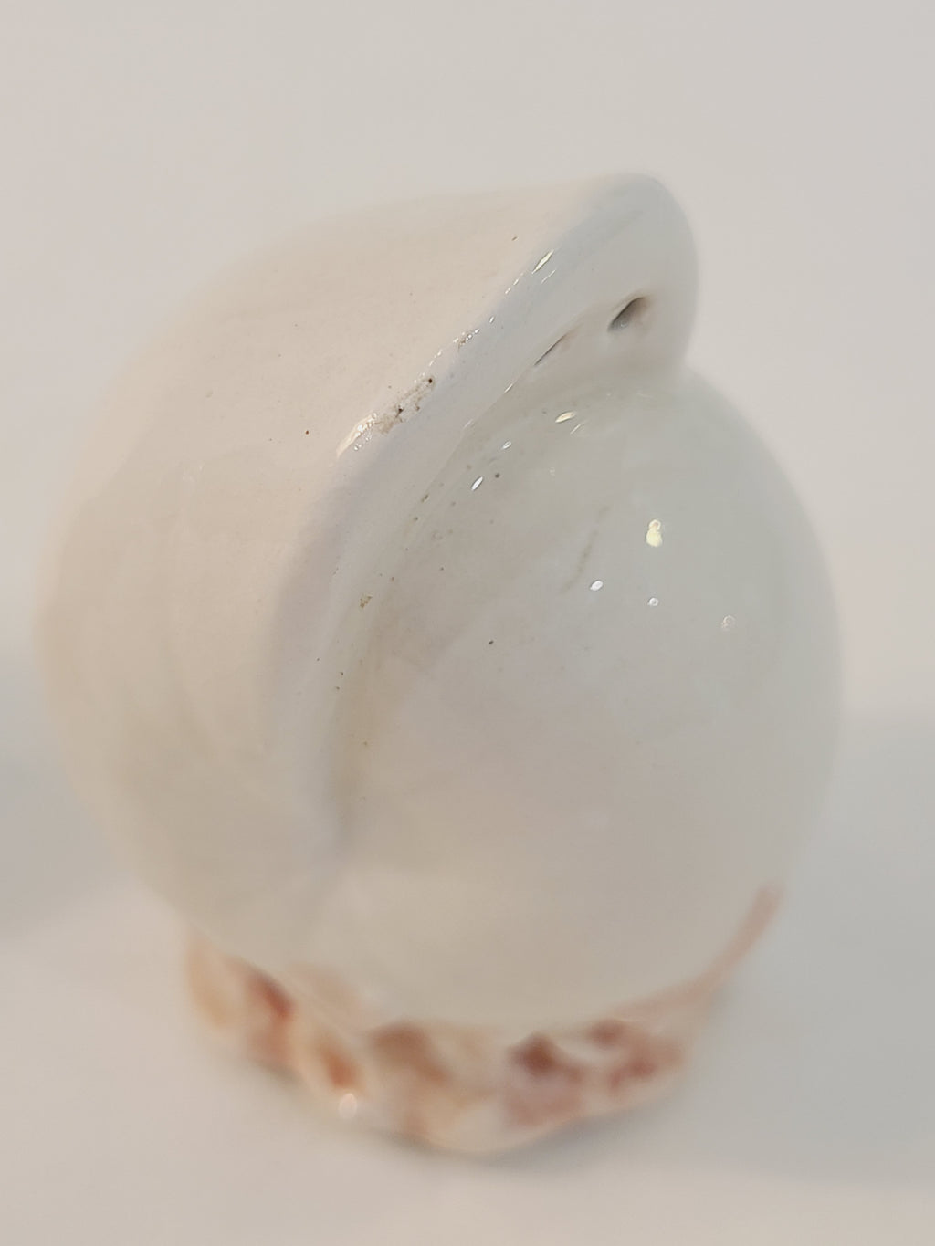 Fitz and Floyd Coquille conch shell ceramic pepper shaker side view, glossy white rounded shell form with shaker hole on pink coral base, vintage 1970s