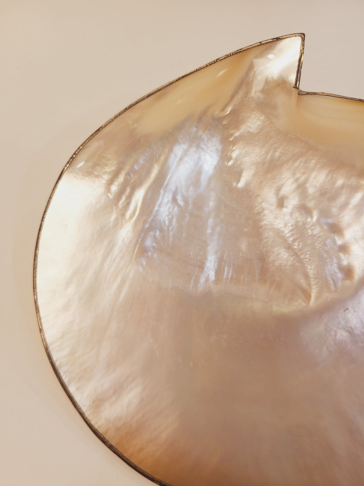 Close-up of mother of pearl dish showing iridescent cream and peach nacre surface with distressed silver metal rim and notch detail