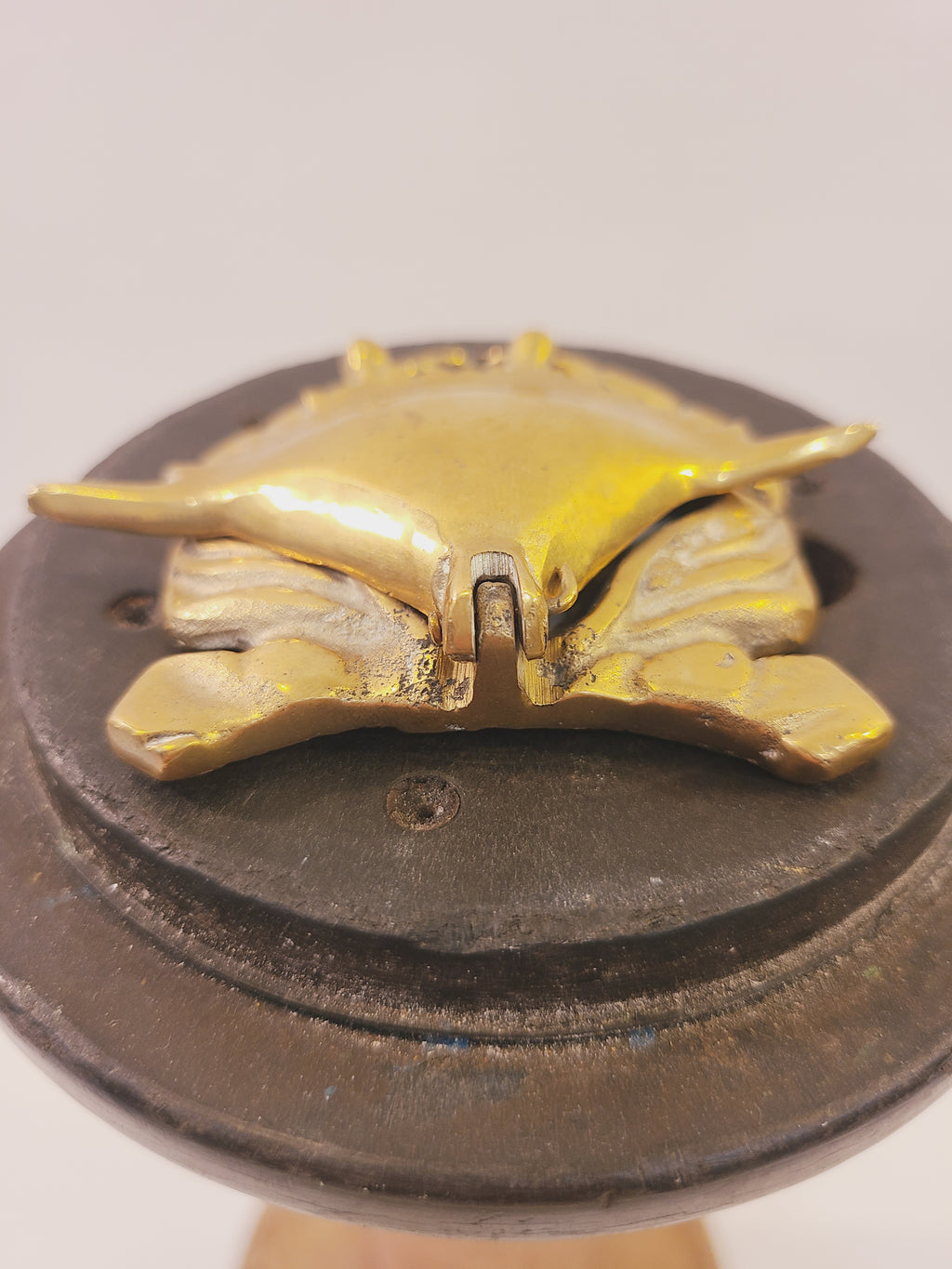 Back view of a brass crab trinket box showing hinged construction