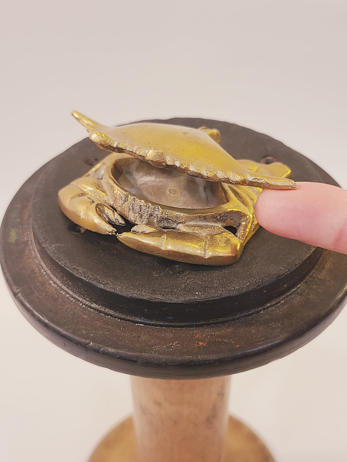 Hinged shell being lifted on a solid brass crab trinket box to show the interior compartment